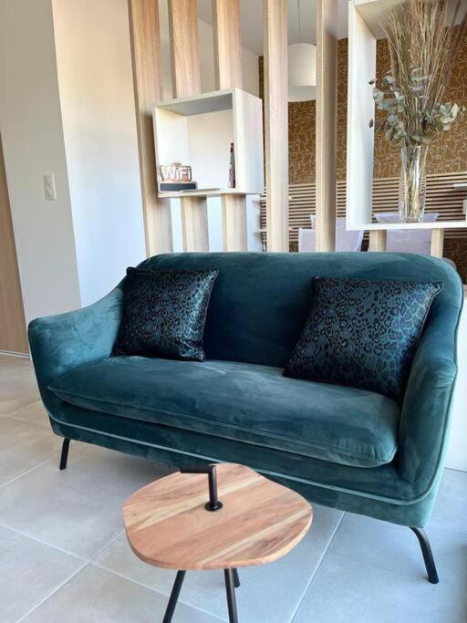Appartement Centre De Roanne 38M2 Eksteriør billede