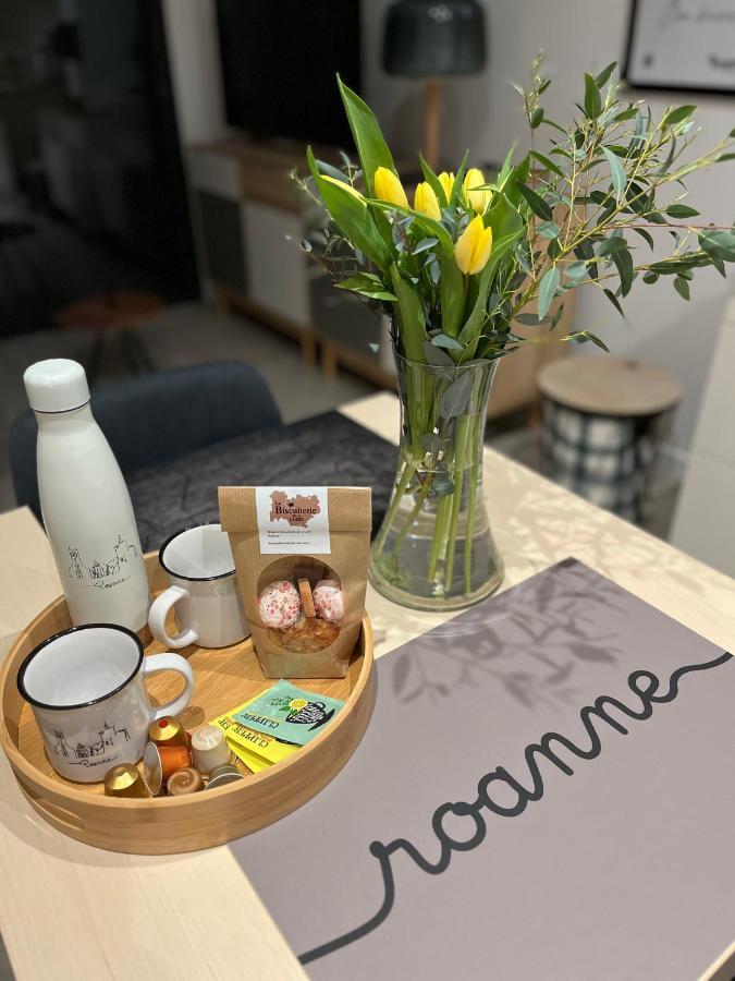 Appartement Centre De Roanne 38M2 Eksteriør billede